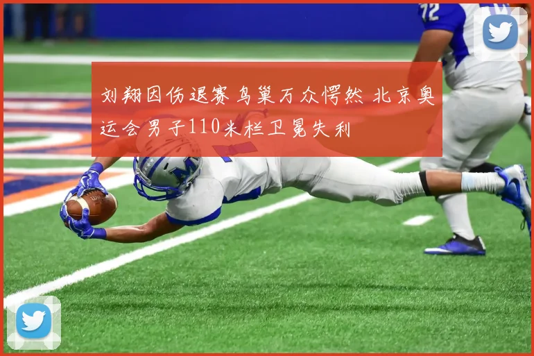 刘翔因伤退赛鸟巢万众愕然 北京奥运会男子110米栏卫冕失利
