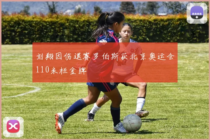 刘翔因伤退赛罗伯斯获北京奥运会110米栏金牌
