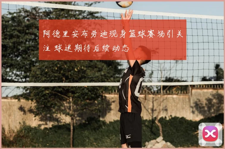 阿德里安布劳迪现身篮球赛场引关注 球迷期待后续动态