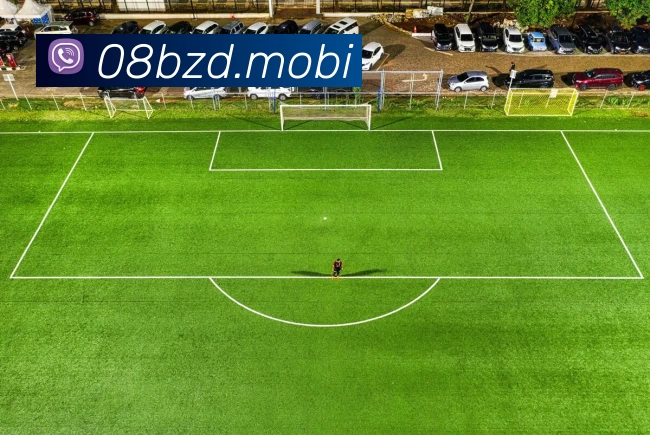 人人体育直播平台生态图